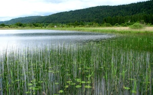 Lac des Rouges Truites