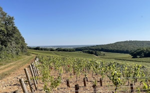 Around Clos l'Évêque