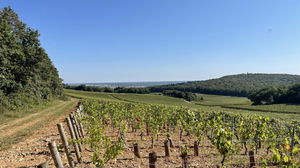 Autour du Clos l'Évêque