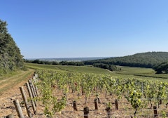 Autour du Clos l'Évêque