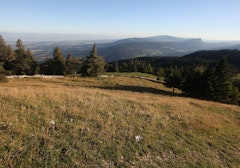Le Suchet