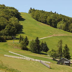 Territoire-de-Belfort