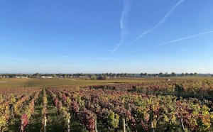 Premier Cru de Beaune