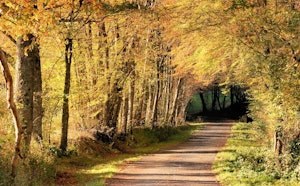 Sentier Colette