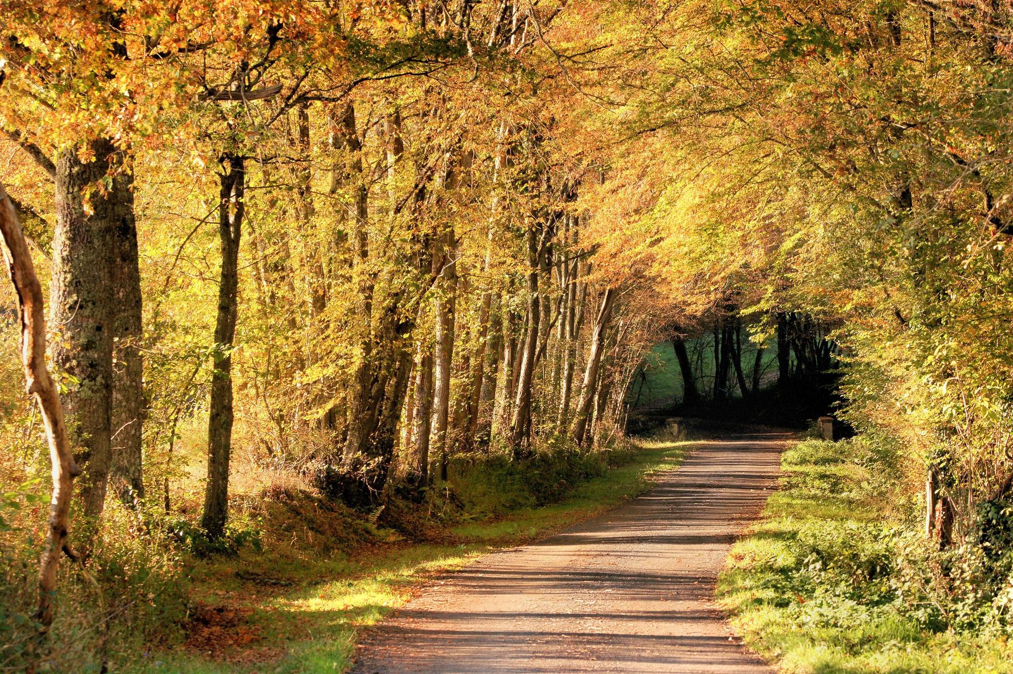 Sentier Colette