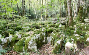 Sentier Karstique de Besain