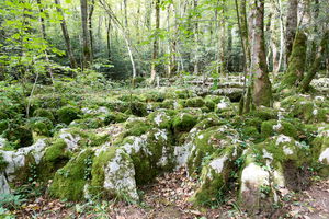 Sentier karstique de Besain