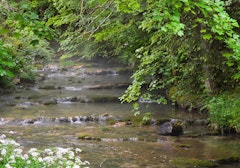Source Bleue