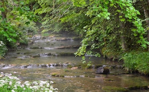 Source Bleue