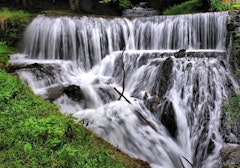 Sources d'Arcier