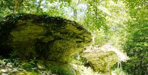 Table aux Loups