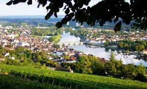 Vineyard of Joigny
