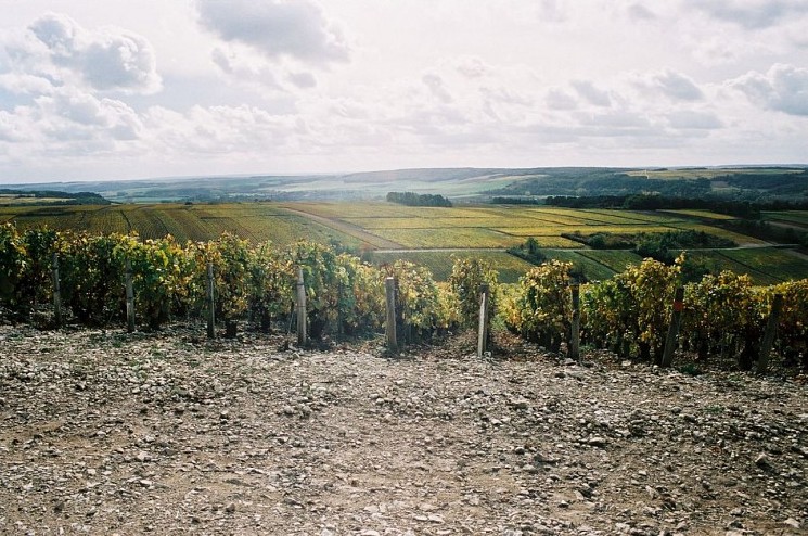 Voie Romaine depuis l'Hermitage Tonnerre
