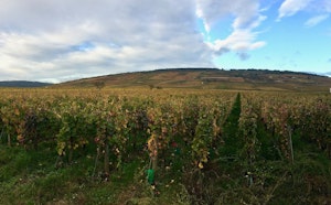 Heights of Vosne-Romanée