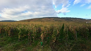 Hauteurs de Vosne-Romanée