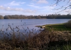 Bassin de Bazouges