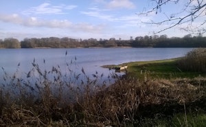 Bassin de Bazouges