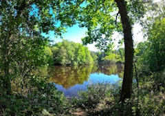 Canal and Forêt de Cicé