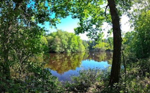 Canal and Forêt de Cicé