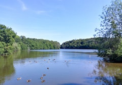 Étang du Ter