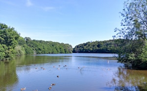 Étang du Ter