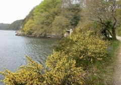 Chemin de Halage du Léguer