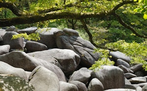 Gorges du Corong and Landes de Locarn