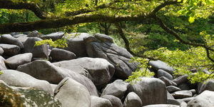 Gorges du Corong et landes de Locarn