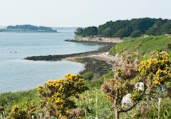 Île aux Moines