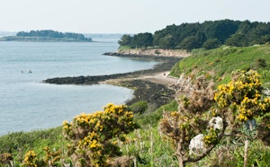 Île aux Moines