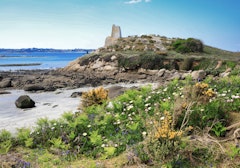 Île Callot