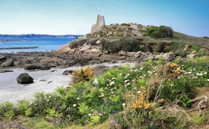 Île Callot