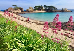 Île de Bréhat