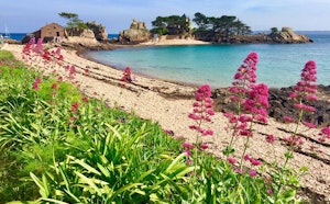 Île de Bréhat