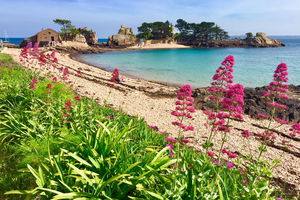 Île de Bréhat
