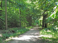 Maison des Fées from Le Tronchet