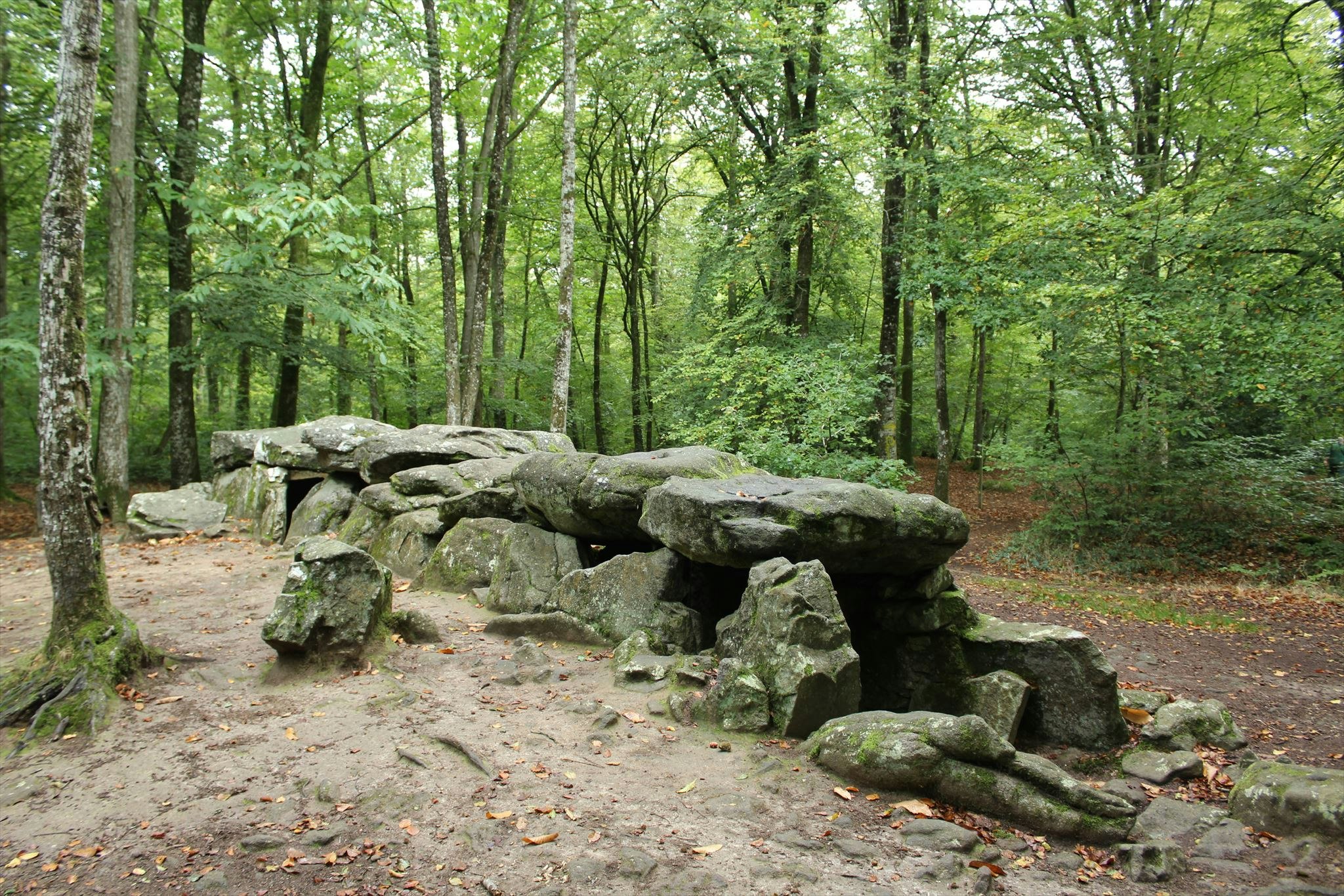 Maison des Fées depuis Tressé