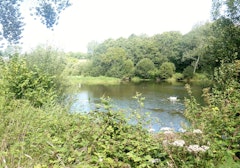 Plan d'Eau du Moulin Neuf