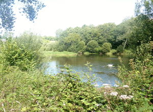 Plan d'eau du Moulin Neuf