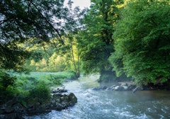 Vallée du Couesnon