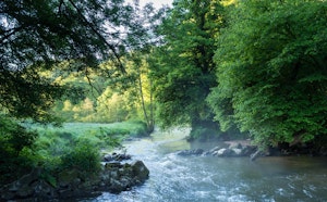 Vallée du Couesnon
