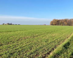 Around Parçay-Meslay