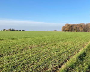 Autour de Parçay-Meslay