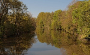 Banks of the Loir