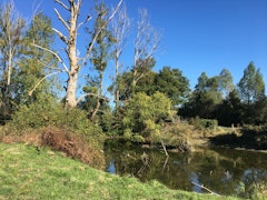 Around Huismes