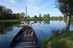 Bords du Cher près de Savonnières