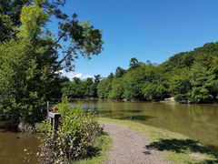 Château and Étang de Morchêne