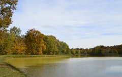 Étang de la Varenne-sous-Chandon