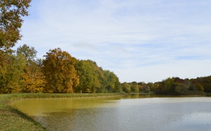 Étang de la Varenne-sous-Chandon