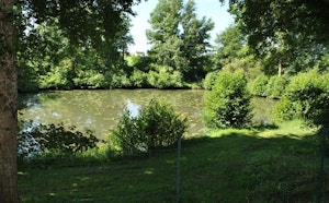 Forêt d'Amboise